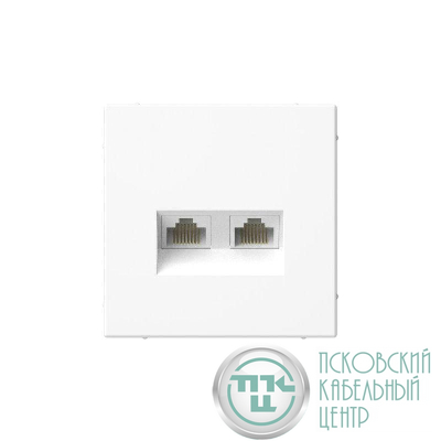 Розетка компьютерная 2-м ArtGallery RJ45 + RJ45 кат.5E механизм бел. SE GAL000185