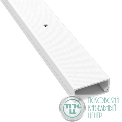 Кабель-канал 22х10 L2000 пластик TMC розн. (уп.16м) DKC 00317R