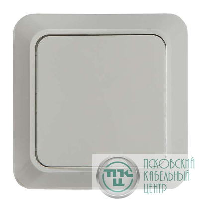 Выключатель 1-кл. ОП Bolleto 10А IP20 7021 бел. ASD / IN HOME 4680005959747