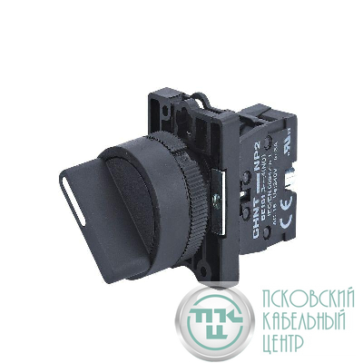 Переключатель NP2-ED21 2 положения фиксацией 1НО IP40 (R) CHINT 574095