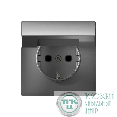 Розетка ArtGallery 16А IP20 с заземл. защ. шторки с крышкой механизм сталь SE GAL000946