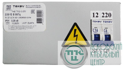 Ящик с понижающим трансформатором ЯТП 0.25 230/36 (2 авт. выкл.) IP31 TOKOV ELECTRIC TKE-TT12-36-250