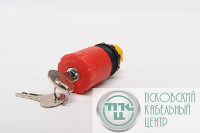 Головка для аварийной кнопки с ключем красн. EMAS CPDEA30