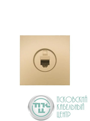 Розетка компьютерная 1-мест. СП ZIMA IP20 зол. LEZARD 704-3688-139