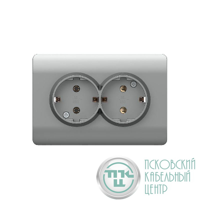 Розетка 2-м NEW3-E с заземл. защ. шторки 16А серебр. CHINT 431419