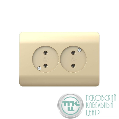 Розетка 2-м NEW3-E без заземл. защ. шторки 16А шампань CHINT 431420