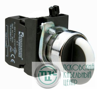 Переключатель 0-1 без фиксации (1НО) EMAS CM100S21