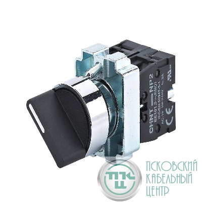 Переключатель NP2-BD33 3 положения фиксацией 2НО IP40 (R) CHINT 573982