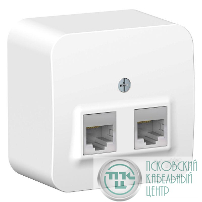 Розетка компьютерная 2-м ОП Blanca RJ45 кат.5E с изолир. пластиной бел. SE BLNIA045451