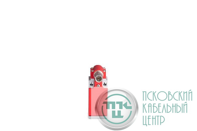 Выключатель концевой L5K13BEM621 EMAS L5K13BEM621
