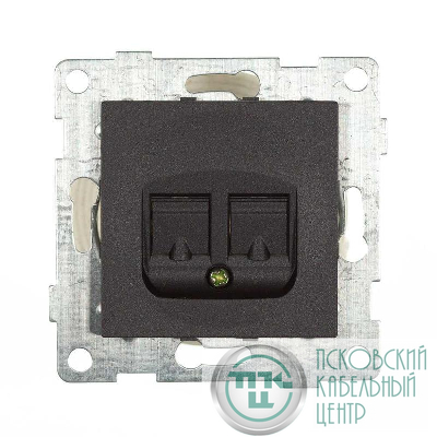 Розетка компьютерная 1-м СП Bravo RJ45 механизм графит GUSI С10К1-010