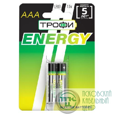 Элемент питания алкалиновый AAA/LR03 LR03-2BL Eco (блист.2шт) Трофи Б0017043