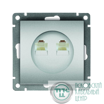 Розетка компьютерная 2-м СП Афина RJ45 кат.5E механизм серебр. Universal A1086-S