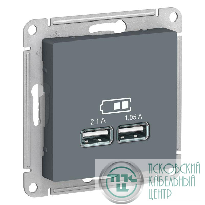 Розетка USB AtlasDesign тип A+A 5В 1х2.1А 2х1.05А механизм грифель SchE ATN000733