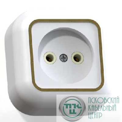 Розетка 1-м ОП Валентина РА10-266 10А IP20 бел./зол. Кунцево 7639