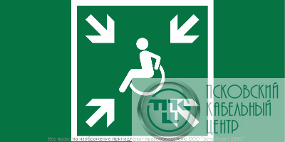 Знак безопасности NPU-2010.E65 "Пункт (место) сбора МГН (безопасная зона МГН)" Белый Свет a28570