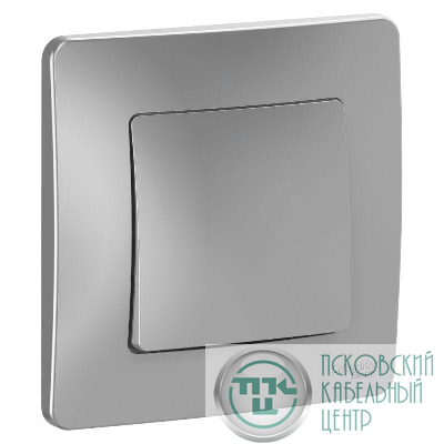 Выключатель 1-кл. СП Blanca 10А IP20 (сх. 1) 250В алюм. SE BLNVS010103