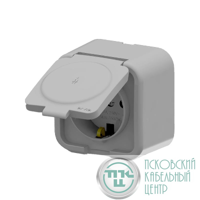 Розетка 1-м СП ARIA 16А IP20 с заземл. с крышкой сер. ARVIA 25 22 1000 218