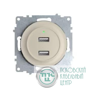 Розетка USB 2-м СП Florence 16А IP20 с подсветкой механизм беж. (1E10351301) OneKeyElectro 2260090