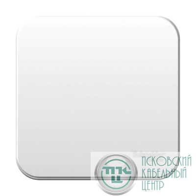 Выключатель 1-кл. ОП Blanca 10А IP20 (сх. 1) 250В с металлич. пластиной бел. SE BLNVA101021