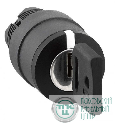 Головка переключателя с ключом SchE ZB5AG05
