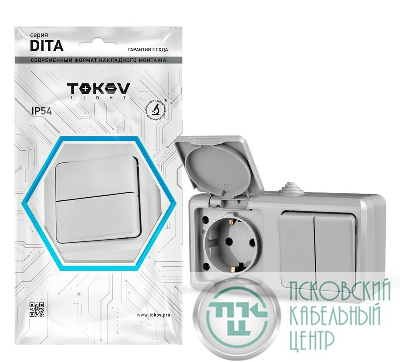 Блок ОП Dita (розетка 16А 250В с заземл. + 2-кл. выкл. 10А) IP54 сер. TOKOV ELECTRIC TKL-DT-V2RZ-C06-IP54