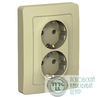 Розетка 2-м СП Blanca 16А IP20 250В с заземл. без защ. шторок беж. SE BLNRS001027