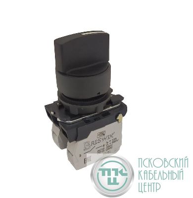 Переключатель КПЕ-2110-Р рукоятка на три положения с фиксацией 1з+0р 10А диаметр посадочного отверстия 22мм УХЛ3 IP40 черн. Реле и Автоматика A8012-79689544