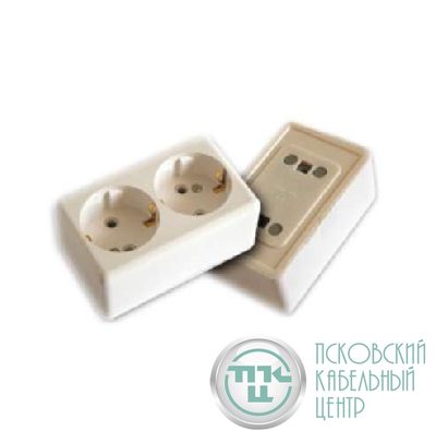Розетка 2-м ОП 16А IP20 с заземл. с монтаж. панелью бел. БЕЛТИЗ РА 16-017