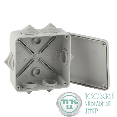Коробка распаячная ОП КОРv 100х100х50мм IP55 на винтах 6 гермовводов KORv-100-100-50-6g Эра Б0047264