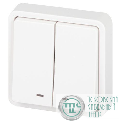 Выключатель Эксперт 11-1525-01 двойн. с подсветкой IP55 10АХ-250В СУ бел. Эра Б0063304