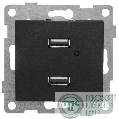 Розетка USB 2-м СП Bravo механизм графит GUSI С10USB2-010