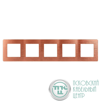 Рамка 5-м 12-5105-14 сатин медь Эра Б0052547