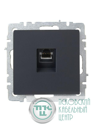 Розетка компьютерная СП RJ45 кат.5E BRITE РК10-БрГ механизм графит IEK BR-K10-1-K53