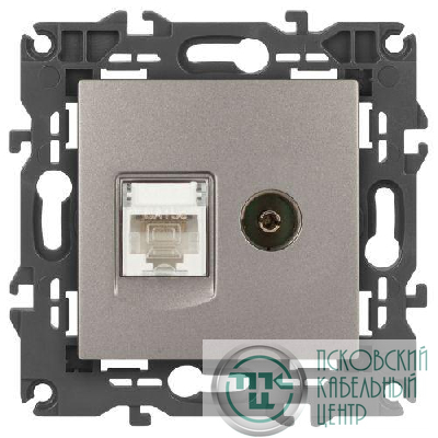 Розетка компьютерная + телевизионная Elegance 14-3110-16 RJ45+TV титан Эра Б0065768