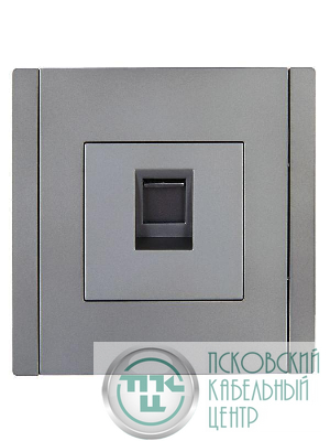 Розетка компьютерная RJ45 кат.5E FORTE&PIANO FP532 сталь IEK FP-K10-1-K46