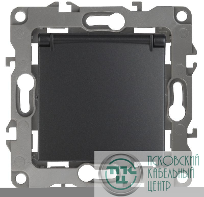 Розетка 1-м СП Эра12 12-2103-05 16А IP20 16AX 250В 2P+E Schuko защ. шторки с крышкой механизм антрацит Эра Б0014697