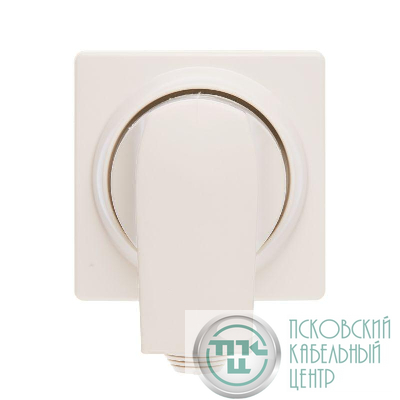 Розетка 1-м ОП Quteo 32А 2К+3 без шторок + вилка 2P+E бел. Leg 782222