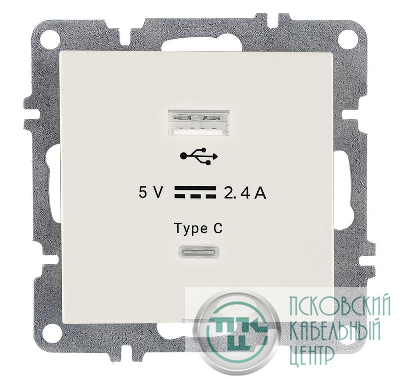 Розетка LAVIN/KAREN USB + TYPE-C механизм бел. ARVIA 50 01 1000 304