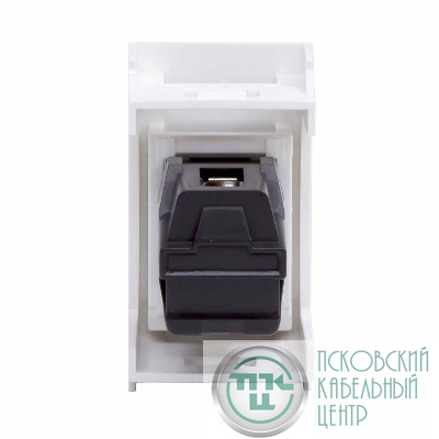 Розетка USB 1-м 1мод. Viva USB 2.0 бел. DKC 42018