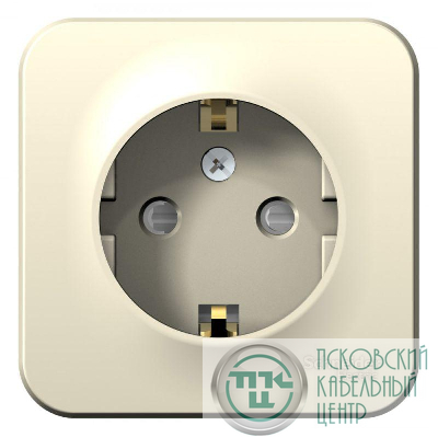 Розетка 1-м ОП Blanca 16А IP20 250В с заземл. защ. шторки с изолир. пластиной молоч. SE BLNRA011112