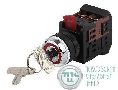 Переключатель AKS-22 2 полож. черн. с ключ. I-O 1з+1р BSW10-AKS-2-K02E ЭРА Б0045677