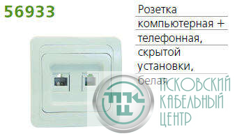Розетка компьютерная + телефонная 2-м СП Classic POWERMAN 1151436