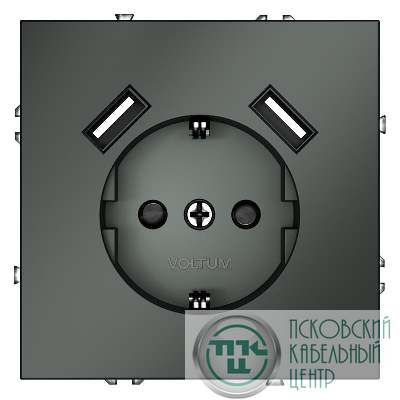 Розетка 1-м СП S70 16А с USB A+A с заземл. защ. шторки механизм титан Voltum VLS040406