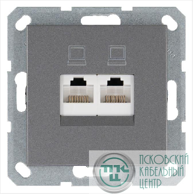 Розетка компьютерная 2-м RJ45 IP20 кат. 5E механизм алюм. Jasmart G6106S