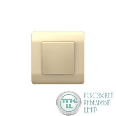 Розетка NEW3-E 16А IP44 с заземл. защ. шторки с крышкой шампань CHINT 431448
