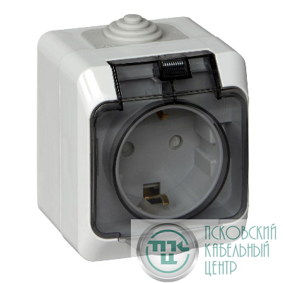 Розетка 1-м ОП Этюд 16А IP44 250В с заземл. защ. шторки с крышкой сер. SE PA16-044C
