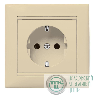 Розетка 1-м СП Valena в сборе с заземл. сл. кость Leg 774323