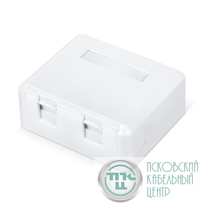 Корпус настенной розетки WR-MB-2 для установки 2-х вставок типа Keystone Jack бел. WRline 505220