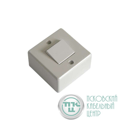 Выключатель 1-кл. ОП 6А IP20 бел. БЕЛТИЗ А 16-023